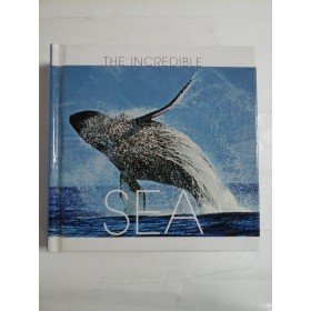 THE  INCREDIBLE  SEA 